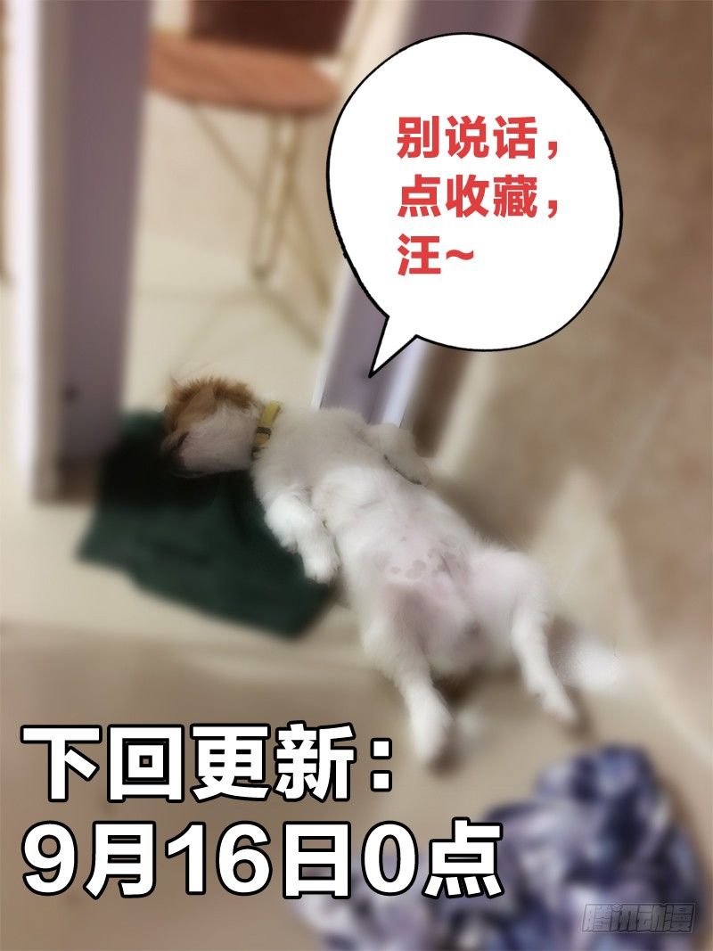 12：风景这边独好12
