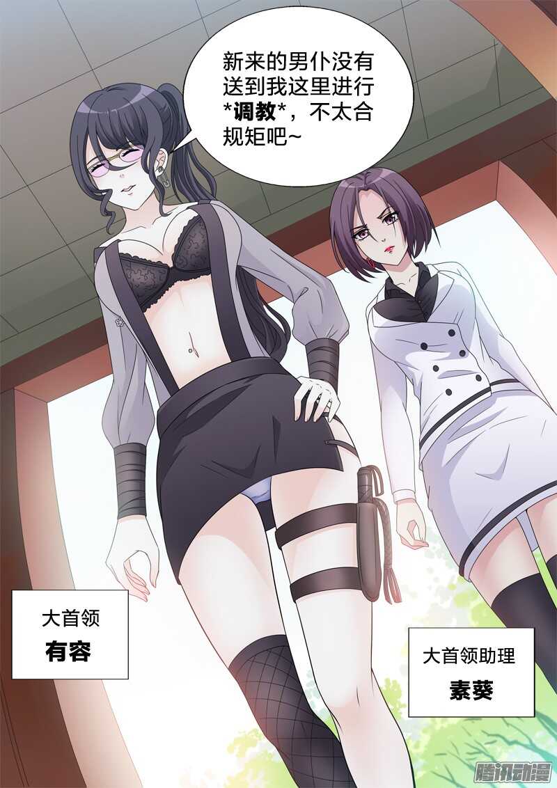 37：有容nai大11