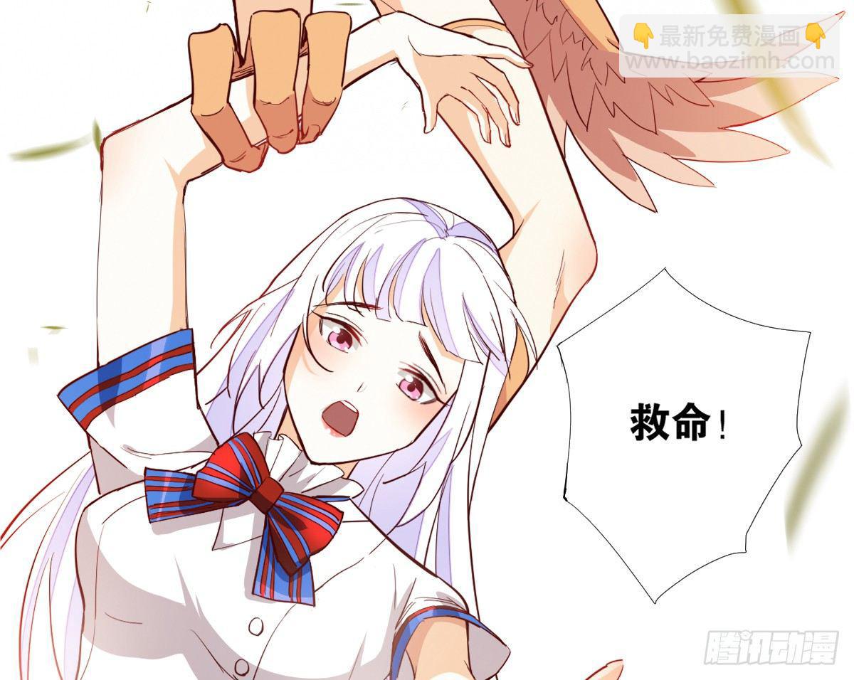鹰爪女妖40