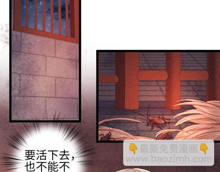 第114话 归心似箭27