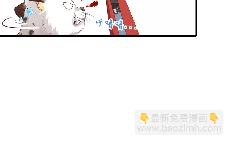 072 白景只能老子碰25