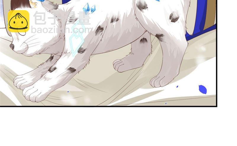 075 老婆的话必须得听31