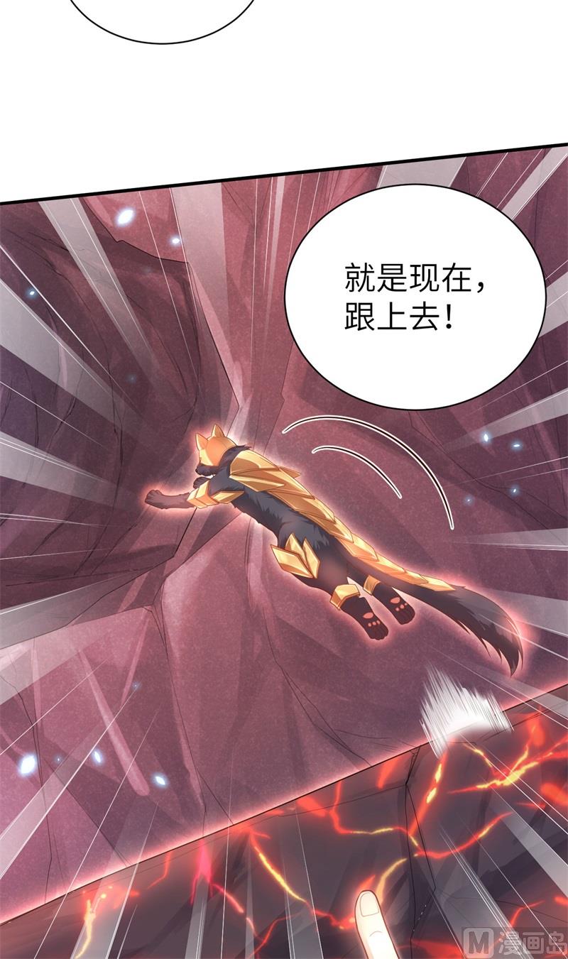 092 神兽之间的对决37