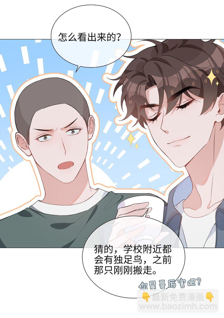 024 爱情的秘密31