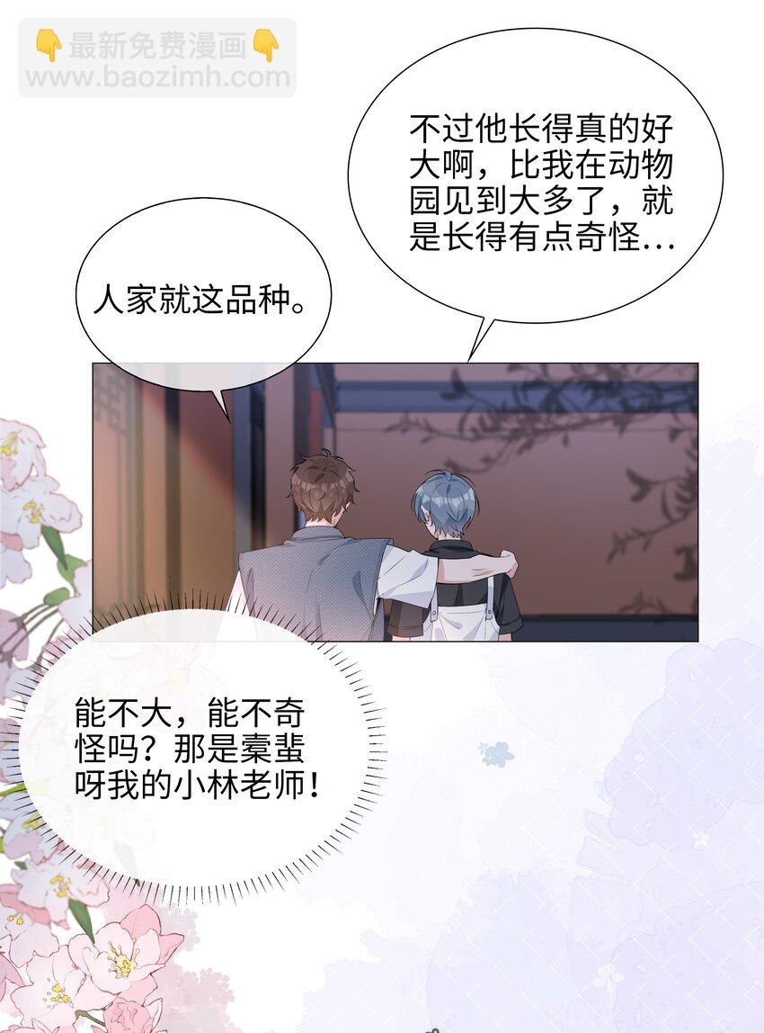 024 爱情的秘密39