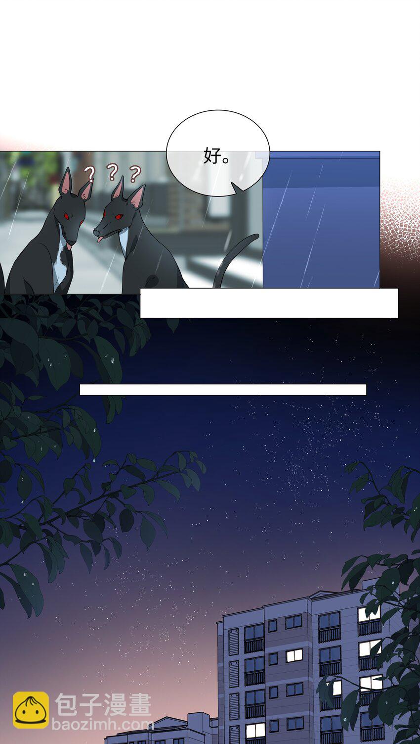 025 深夜投喂33