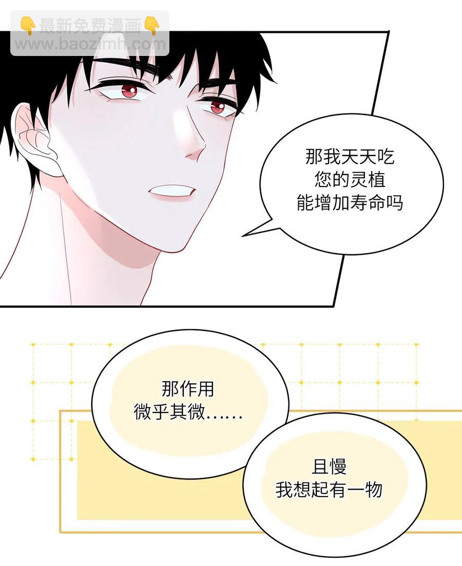 138 续命灵丹20