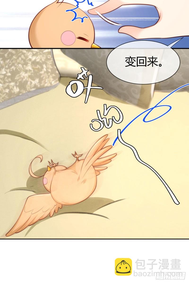 第108话 夜沉渊的随身小可爱6
