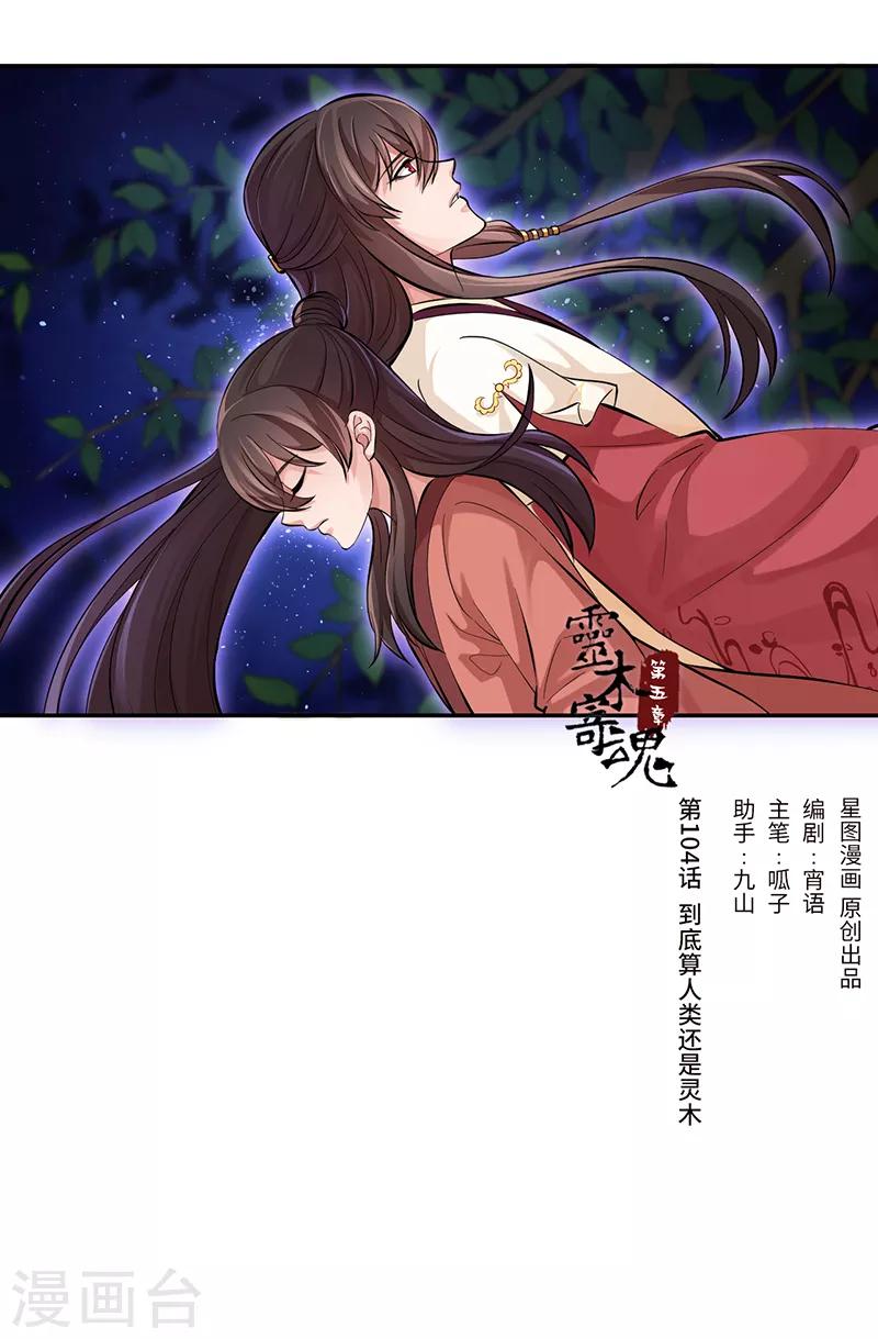 第104话 到底算人类还是灵木0