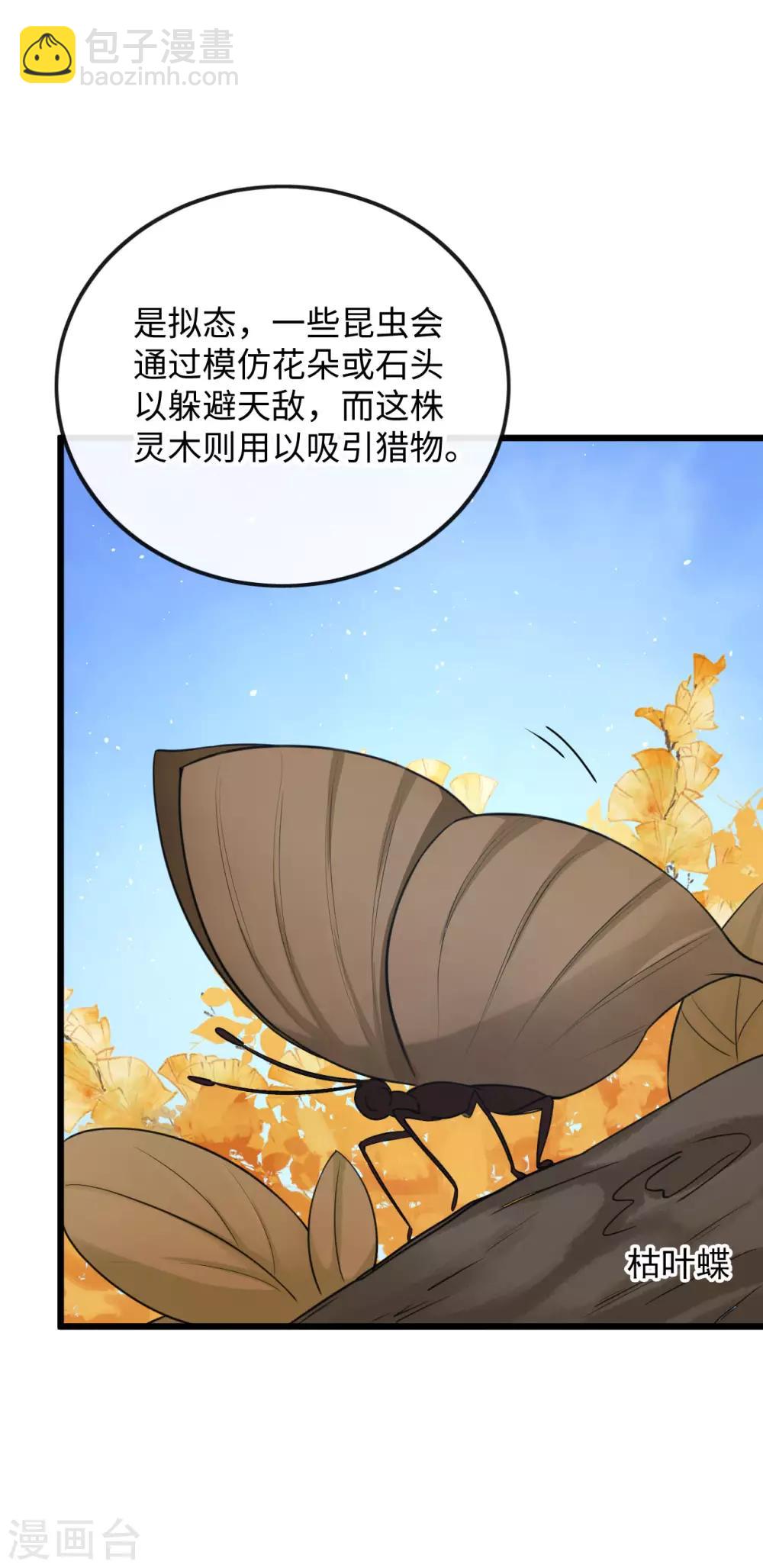 第122话 异化的灵木22