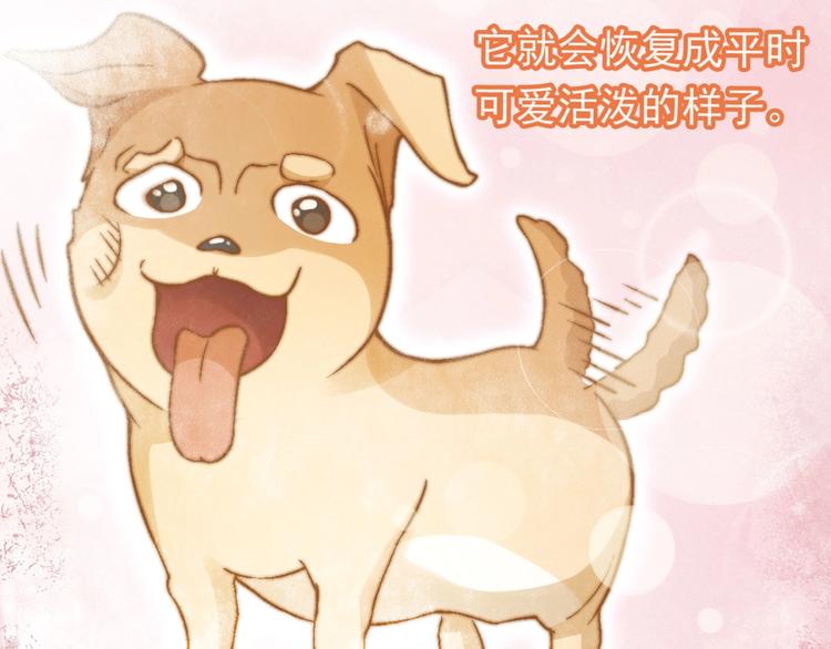 第130话 乐琳的情敌37