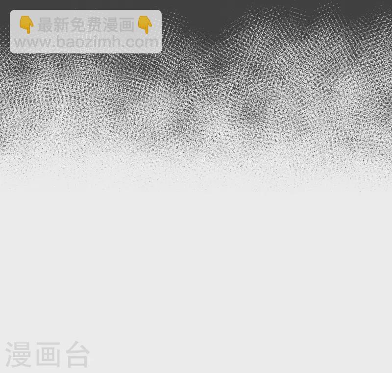 最终话 完美的虚假14