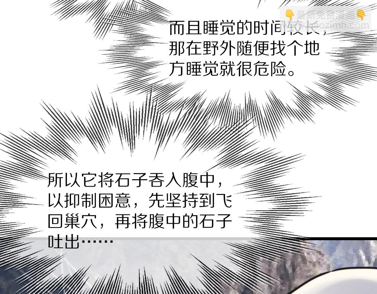第14话 少女“老夏”11