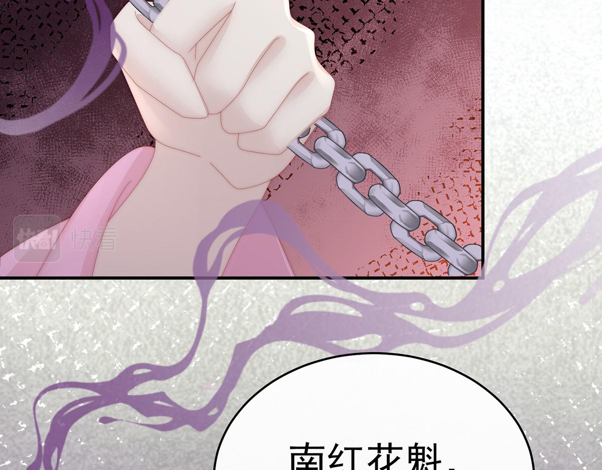 50 沈妈妈，幸会80