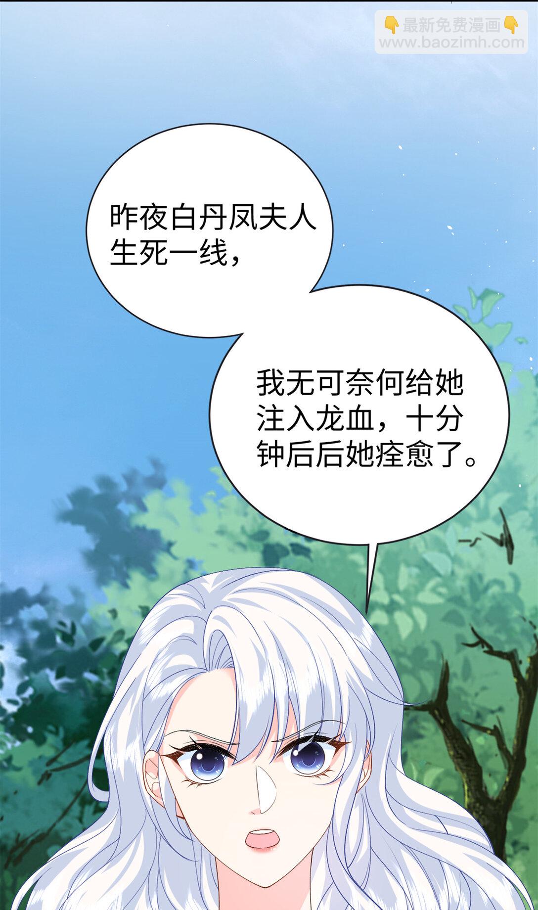 121 龙血45
