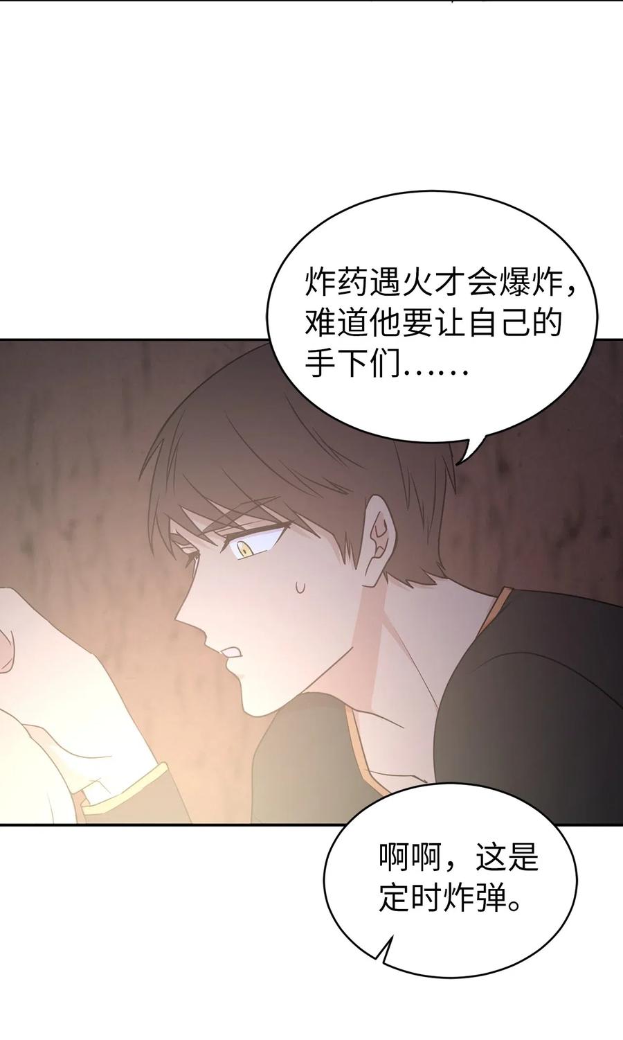 41 皇帝的炸弹19