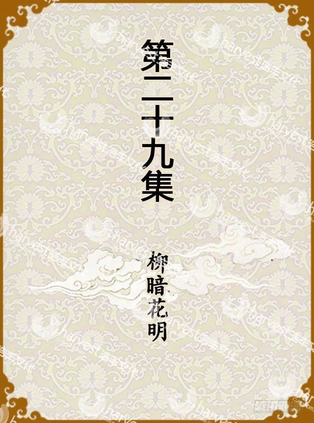 第29集（上）0