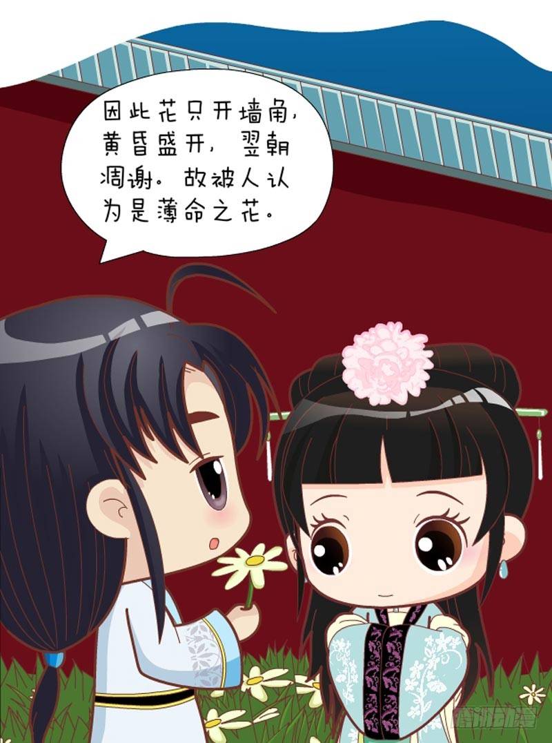 第32集（上）16