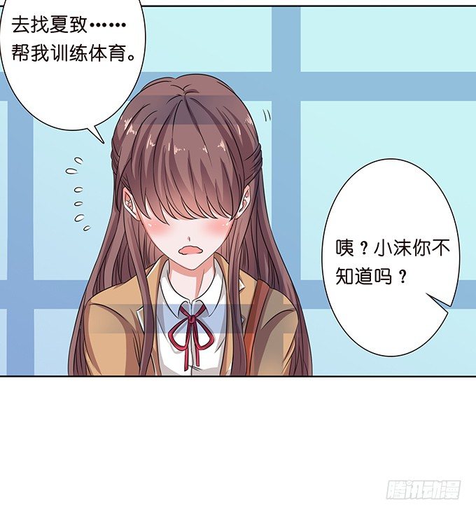 旅行的机会35