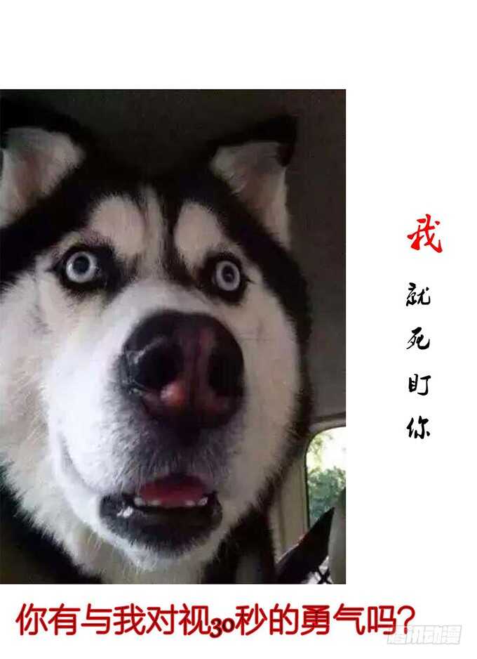 摸头的奖励76