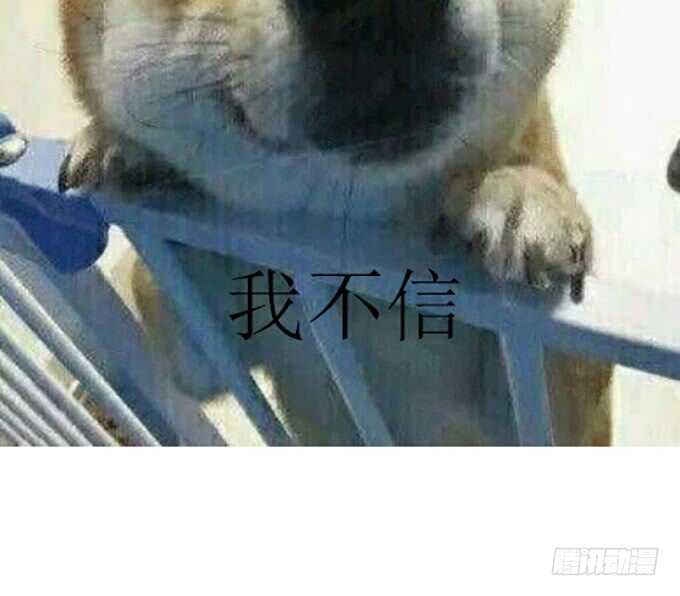 骚气的操作112