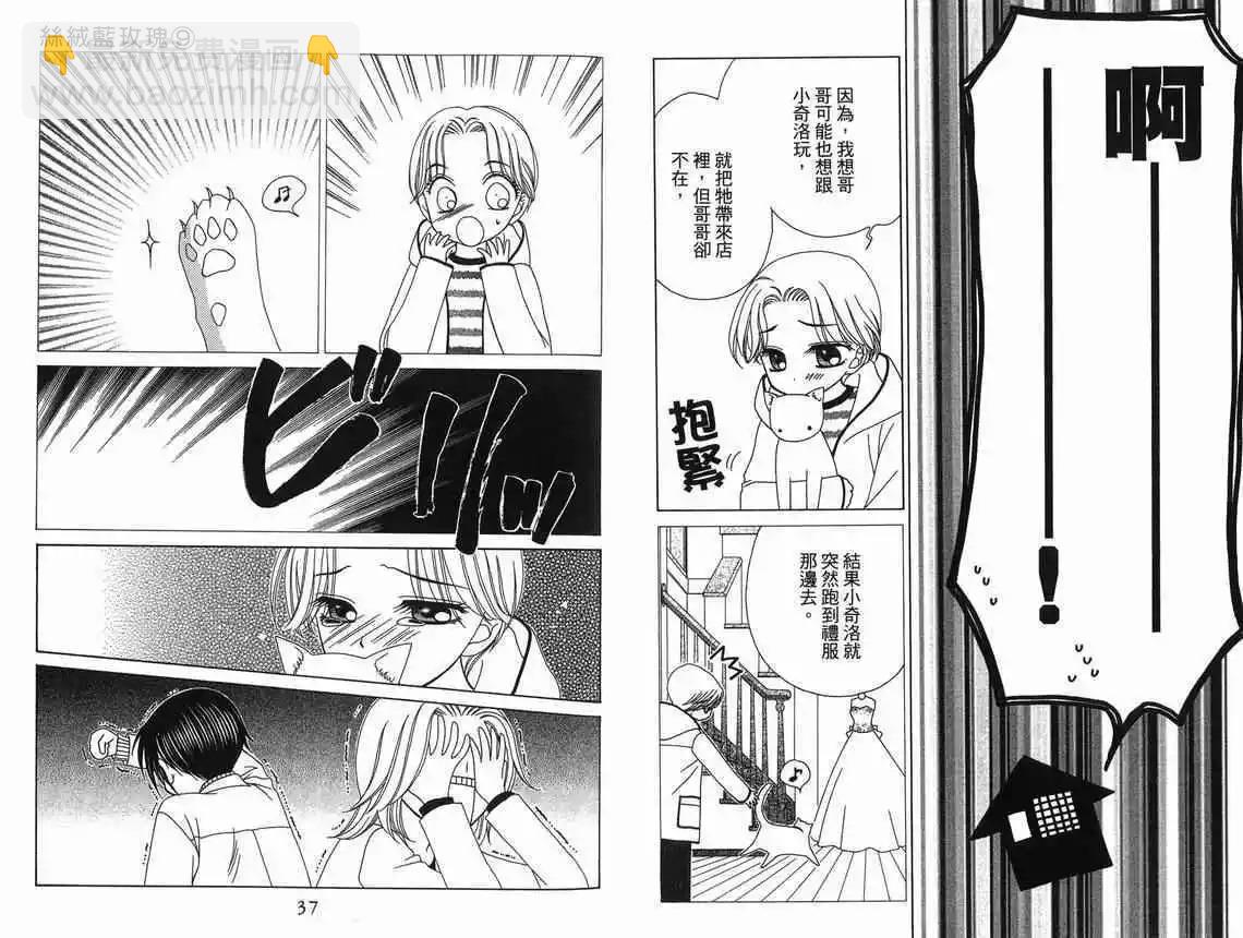 第9卷19