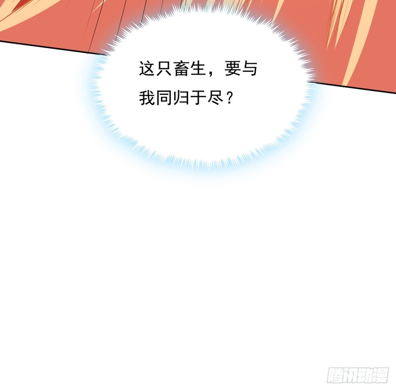 104话 同归于尽65