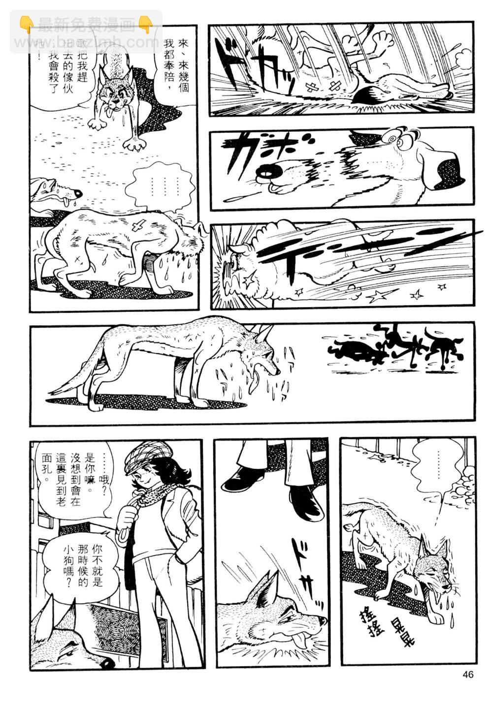 第02卷51