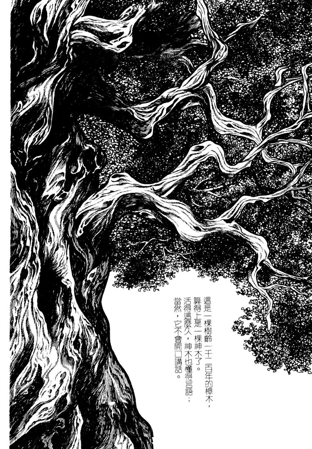 第02卷71