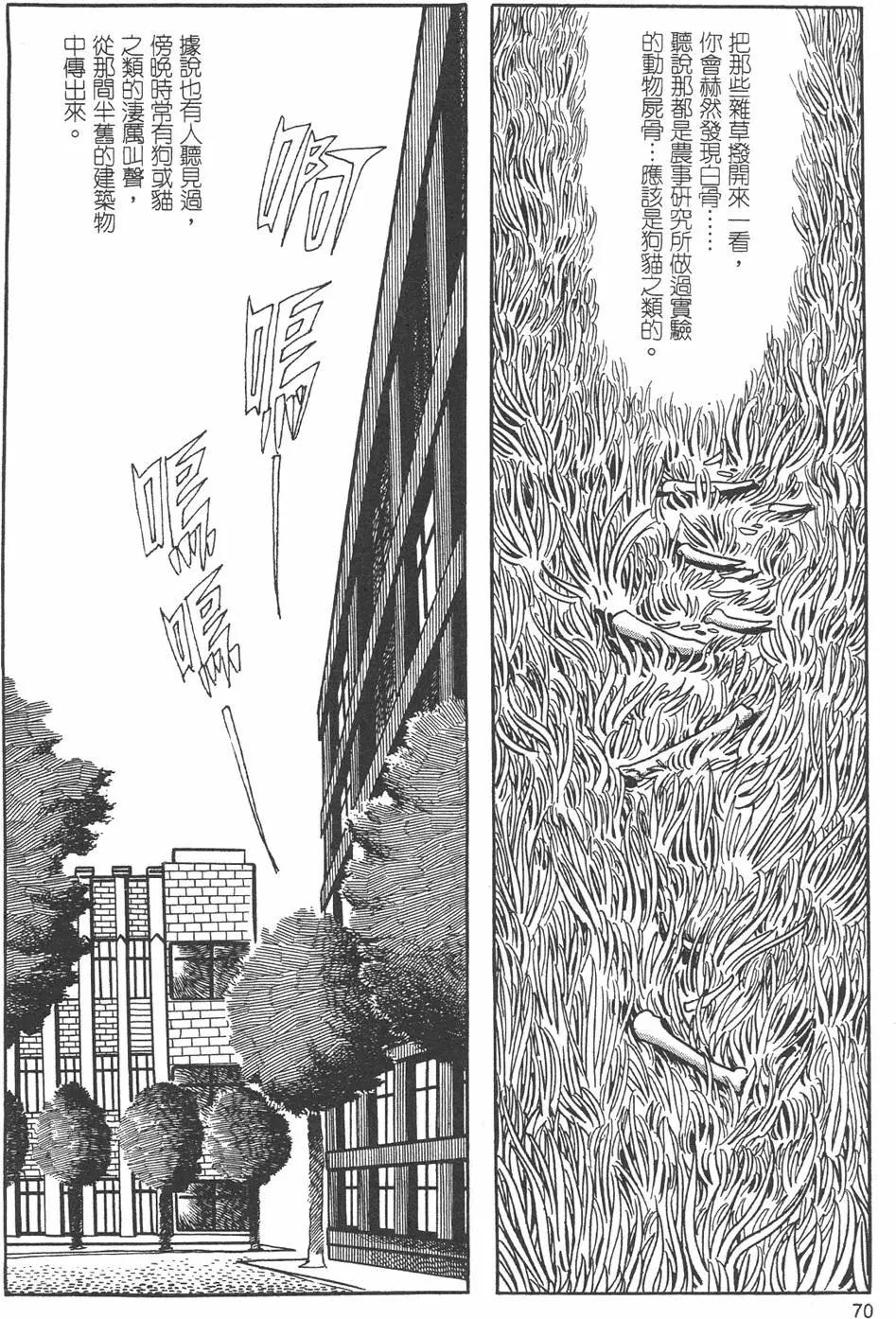 第09卷75