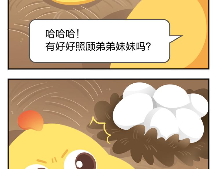 第34话 我要为你生小鸟子！27