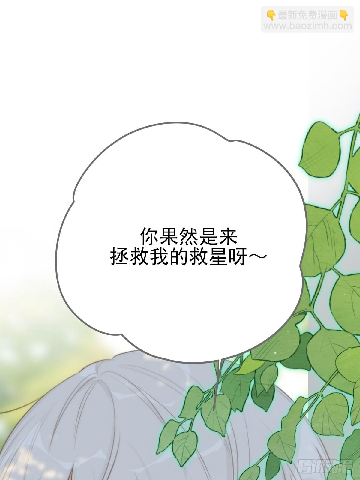 被治愈的心60