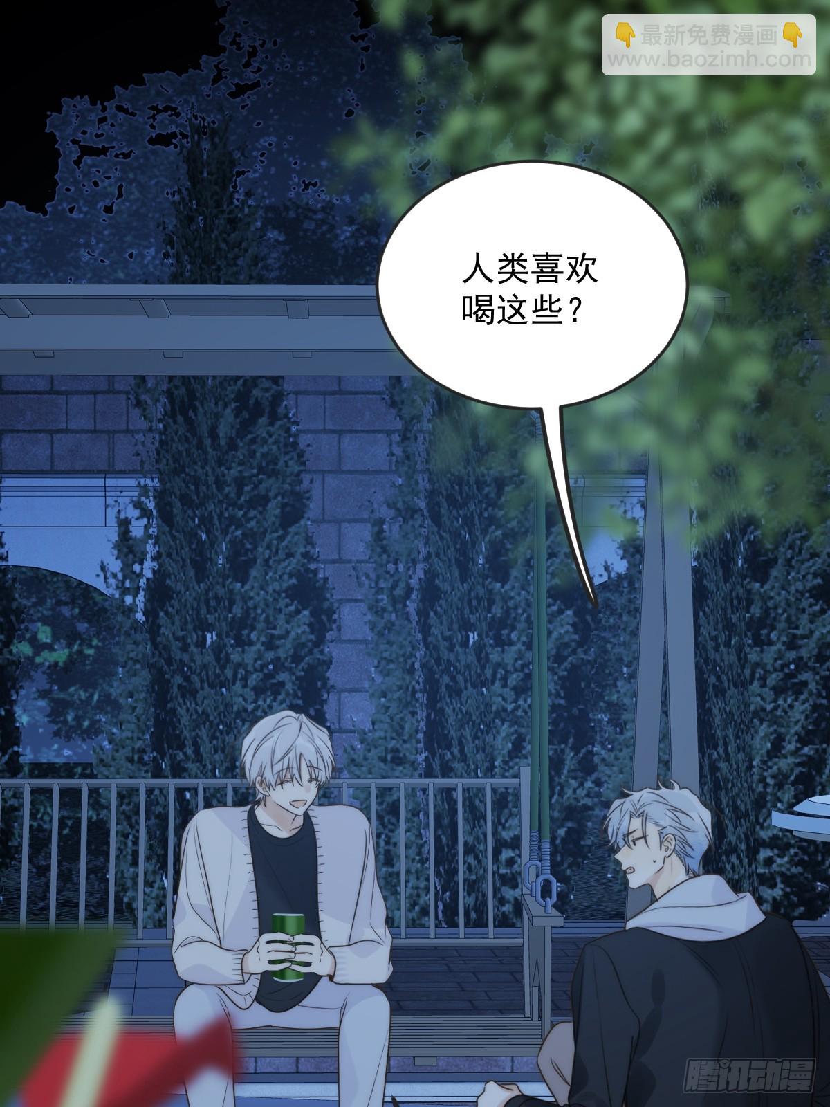 夜间啤酒24