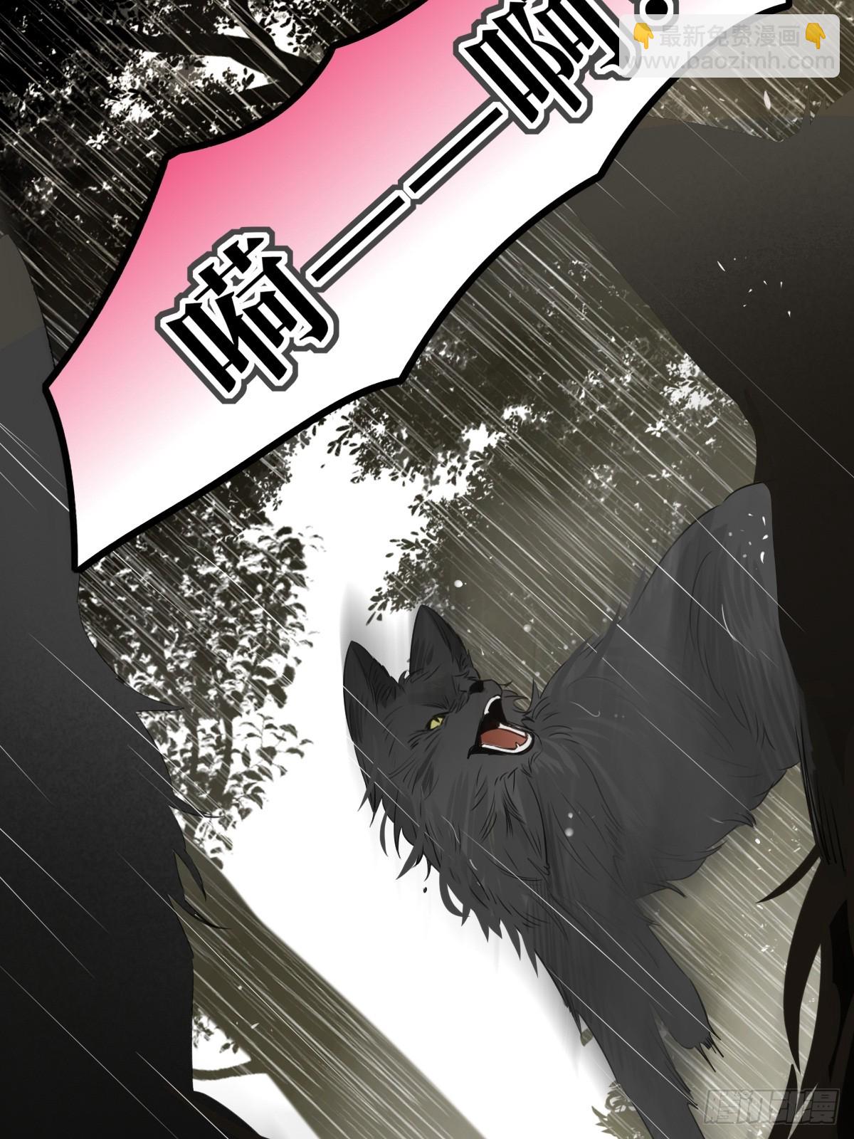 “初次”相遇42