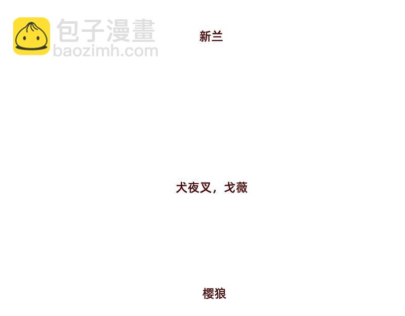 真情实感追cp~3