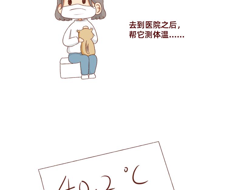 养宠物就要负责到底！11