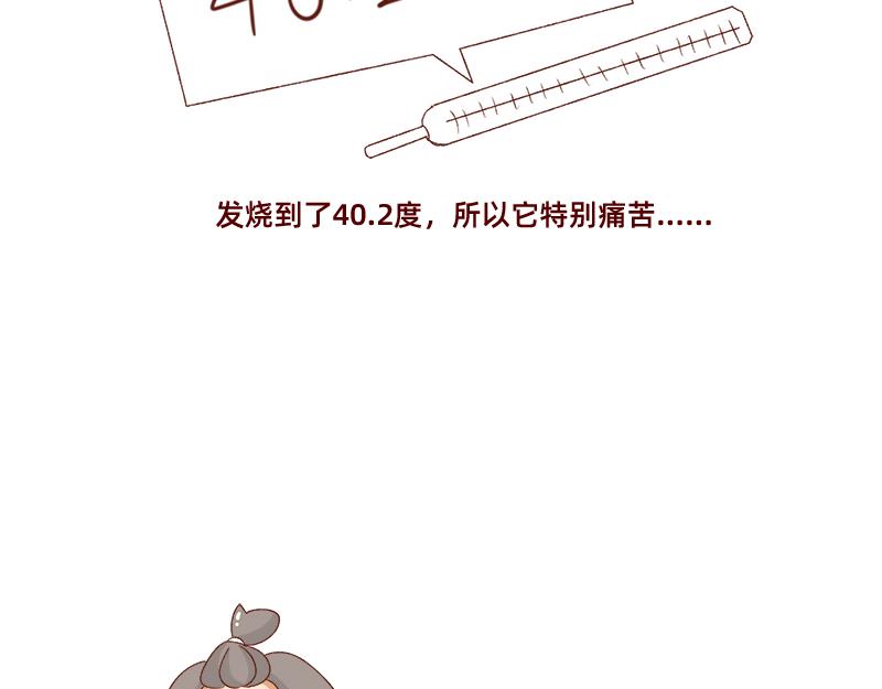 养宠物就要负责到底！12