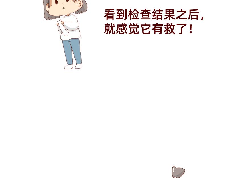 养宠物就要负责到底！15