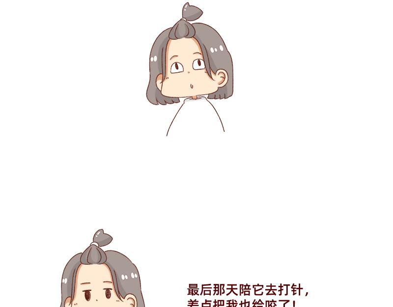 养宠物就要负责到底！18