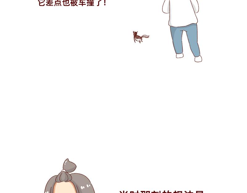 养宠物就要负责到底！20