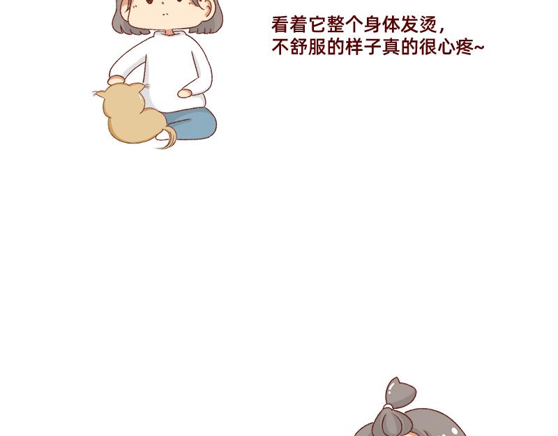 养宠物就要负责到底！5