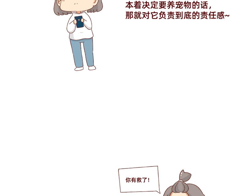 养宠物就要负责到底！7