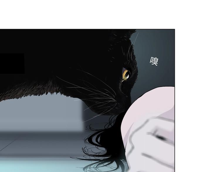 第34话 苏醒13