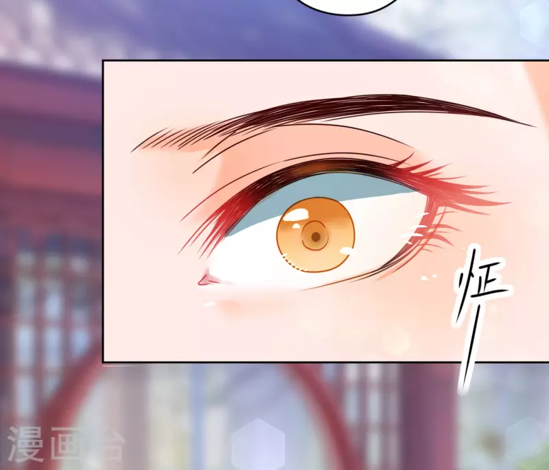 第14话 非分之想12