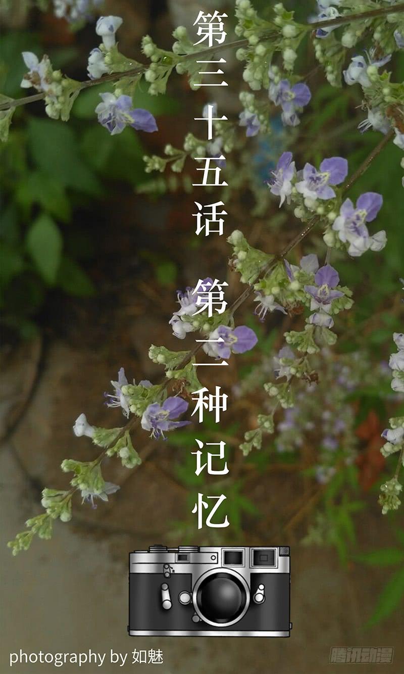 第三十五话 第二种记忆0