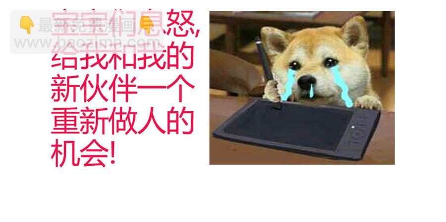 公告及情报4