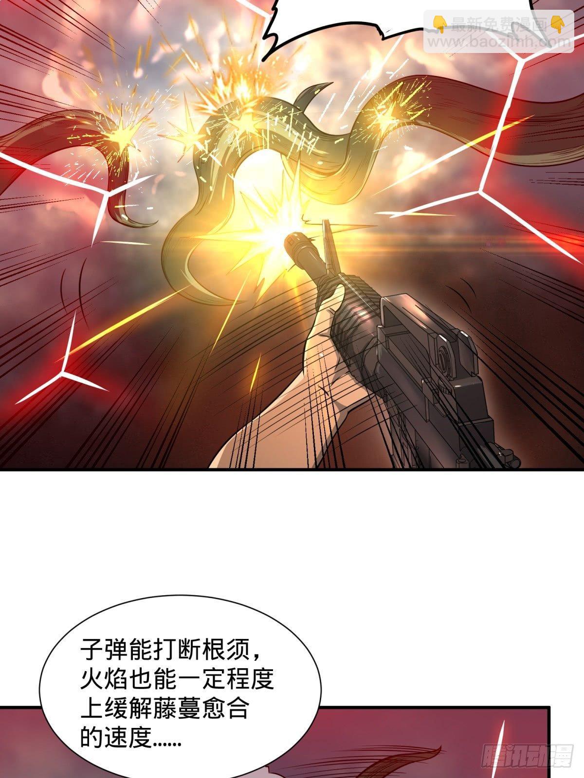 看看这阵容，我们赢定了24
