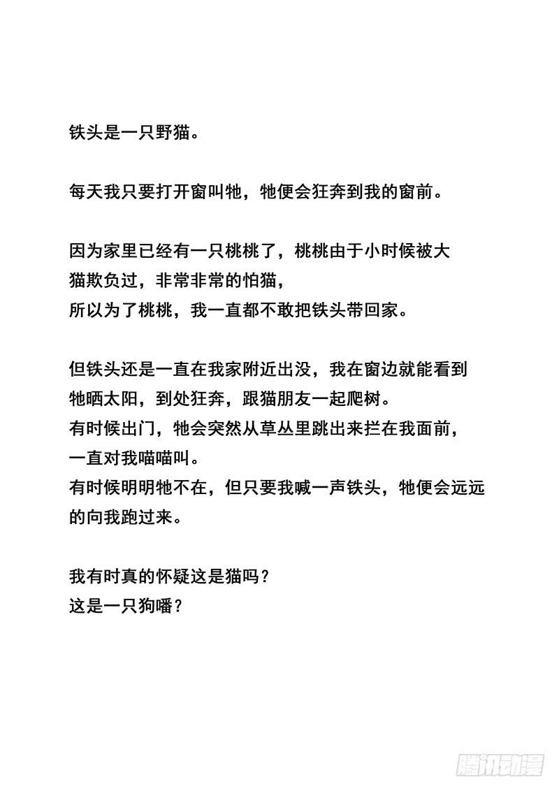 第42刻 铁头15