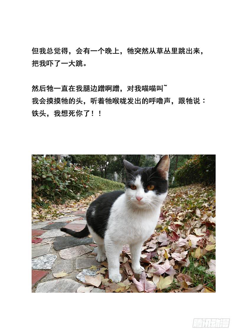 第42刻 铁头17