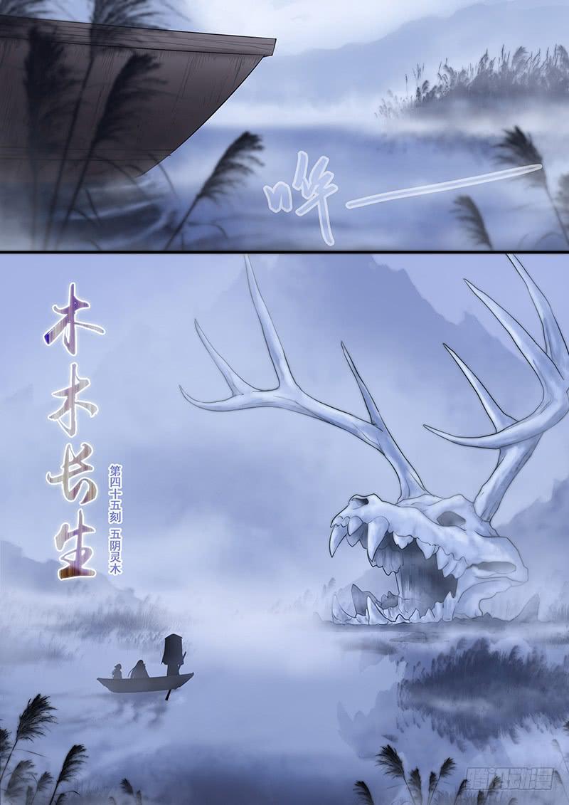 第45刻 五阴灵木0